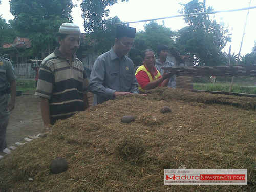 Bupati Pamekasan Achmad Syafii saat sidak ke rumah petani tembakau