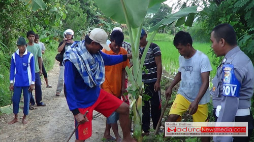 warga Dusun Daleman saat menanam pohon pisang dijalan yang rusak parah
